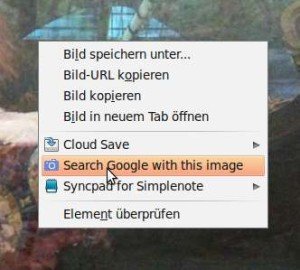 Browsermenu Search by Image